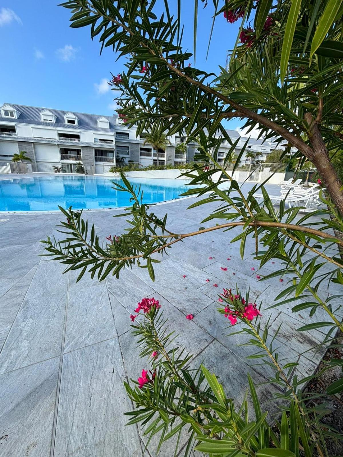 Easy Friendly Sxm Appartement Cul de Sac Buitenkant foto